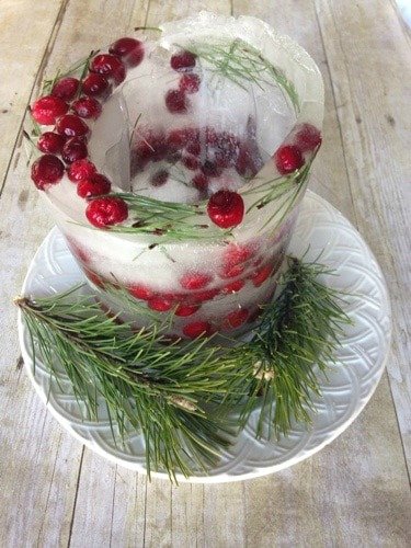 Christmas Ice Mold - Frugally Blonde