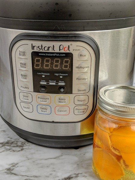 Instant pot best sale cleaning vinegar