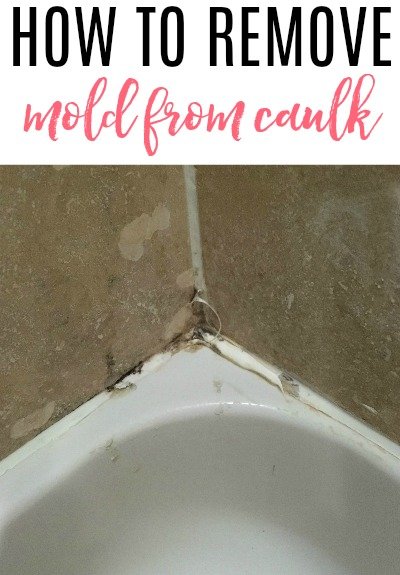 Black Mold In The Shower: How to Clean it