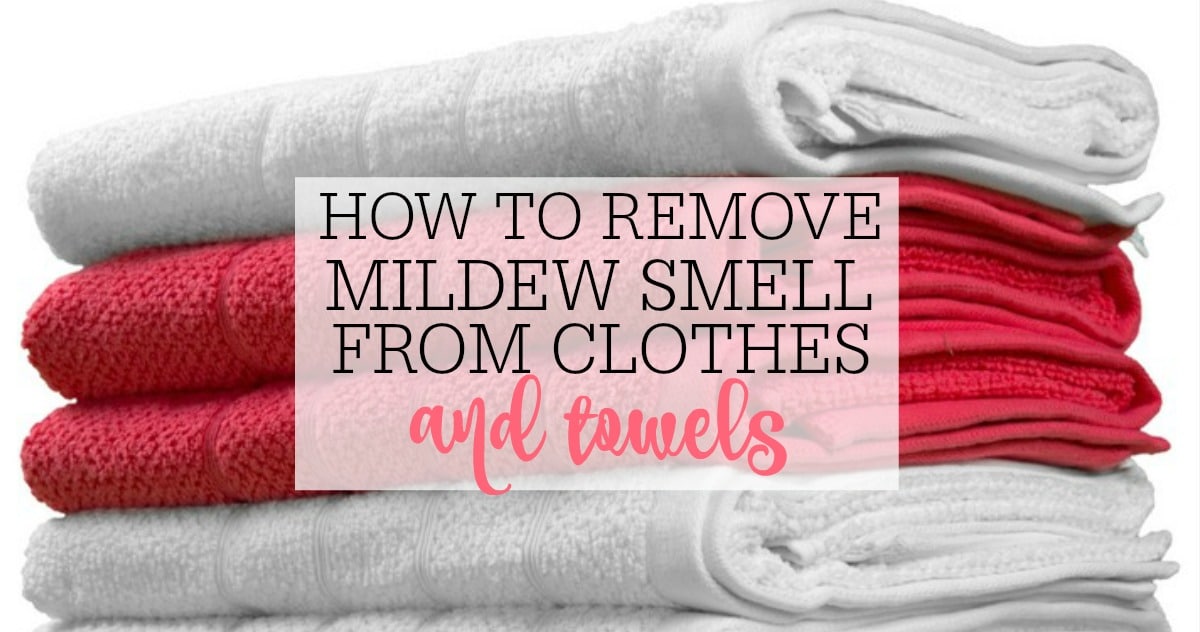 removem ildew smell
