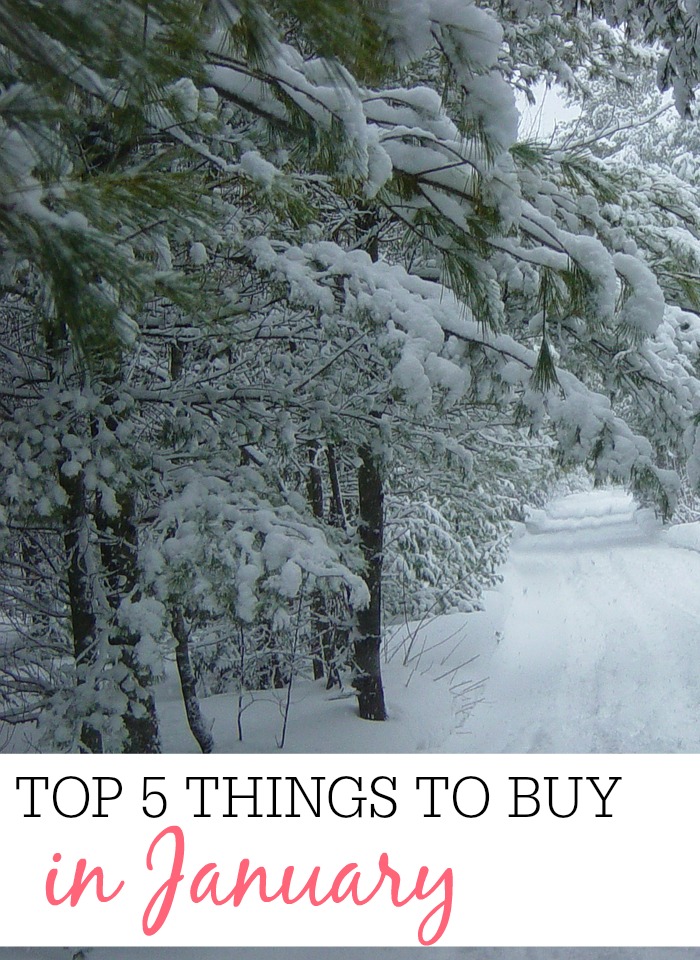 Top 5 Things To Buy in January - Frugally Blonde