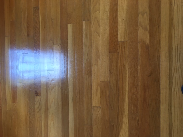 how-to-get-your-hardwood-floors-shiny-again-frugally-blonde