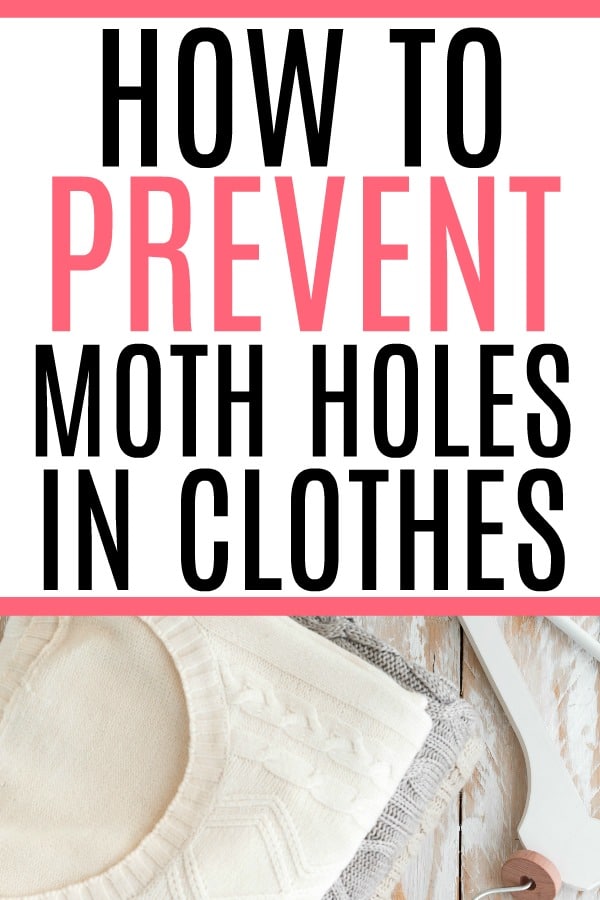 How To Prevent Moth Holes In Clothes - Frugally Blonde